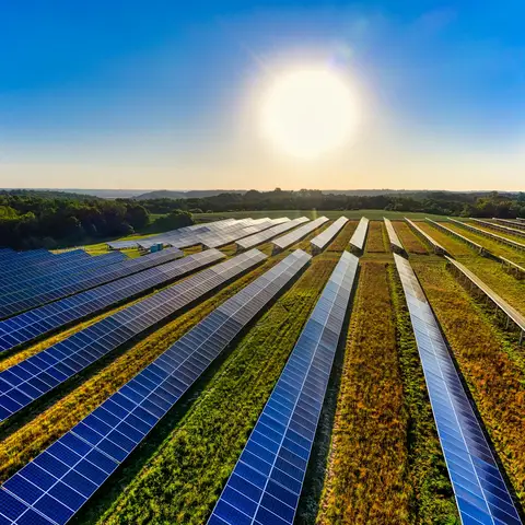 Rows of solar panels and a clear blue sky with shiny sun