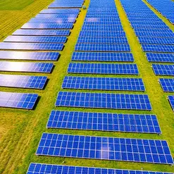 Solar panels in a farm